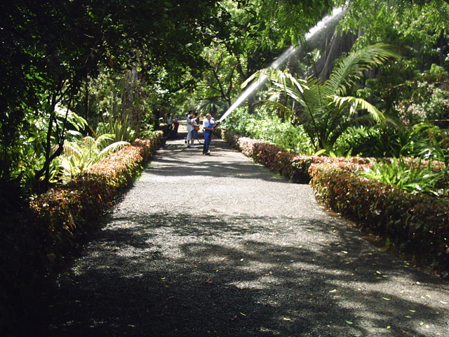 Jardín de Aclimatación de la Orotava（Spain）