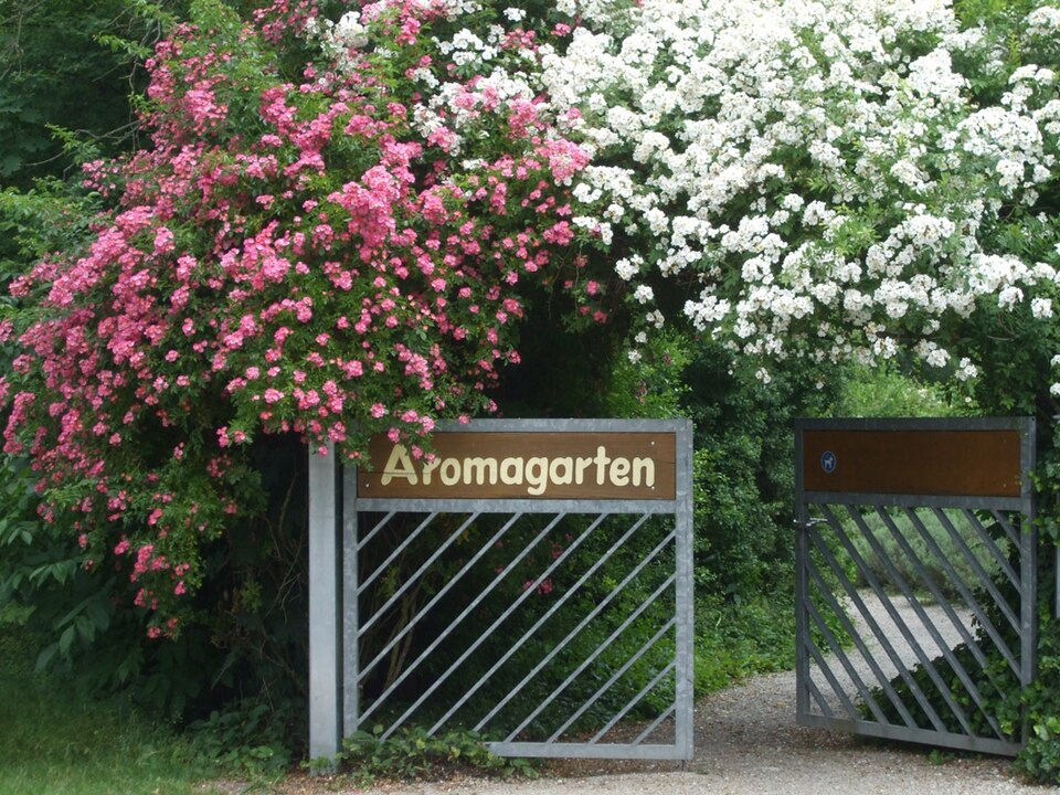 Aromagarten Erlangen（Germany）