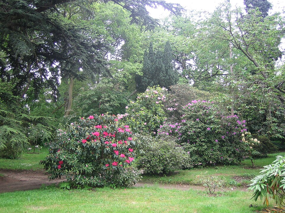 Arboretum Vilmorin（France）