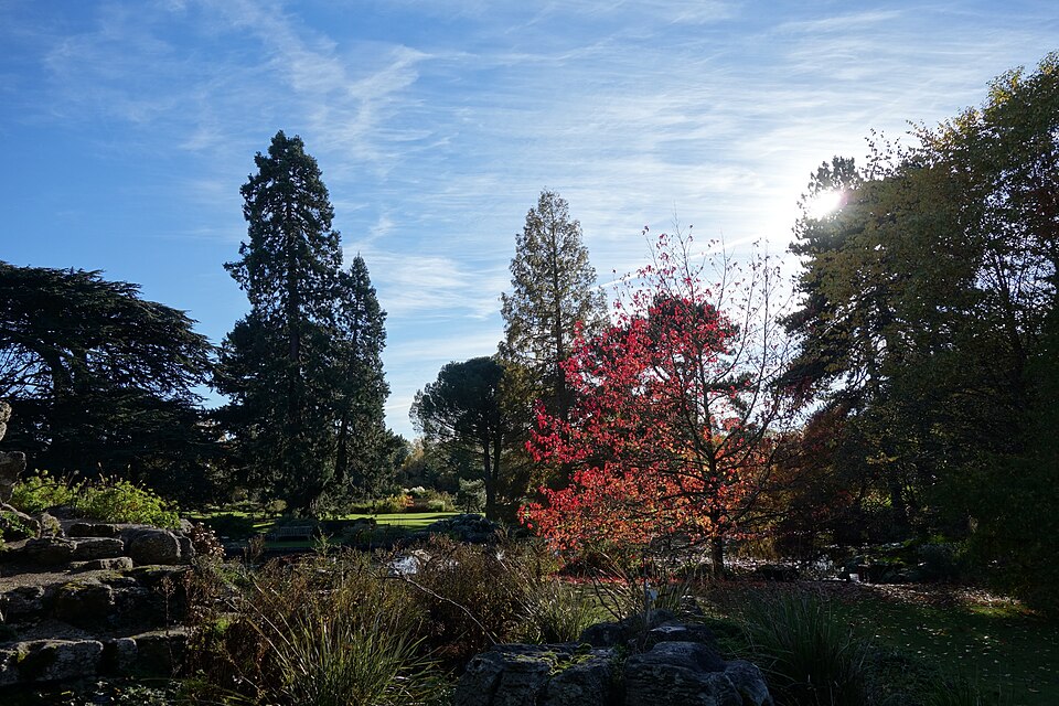 Cambridge University Botanic Garden（United Kingdom）