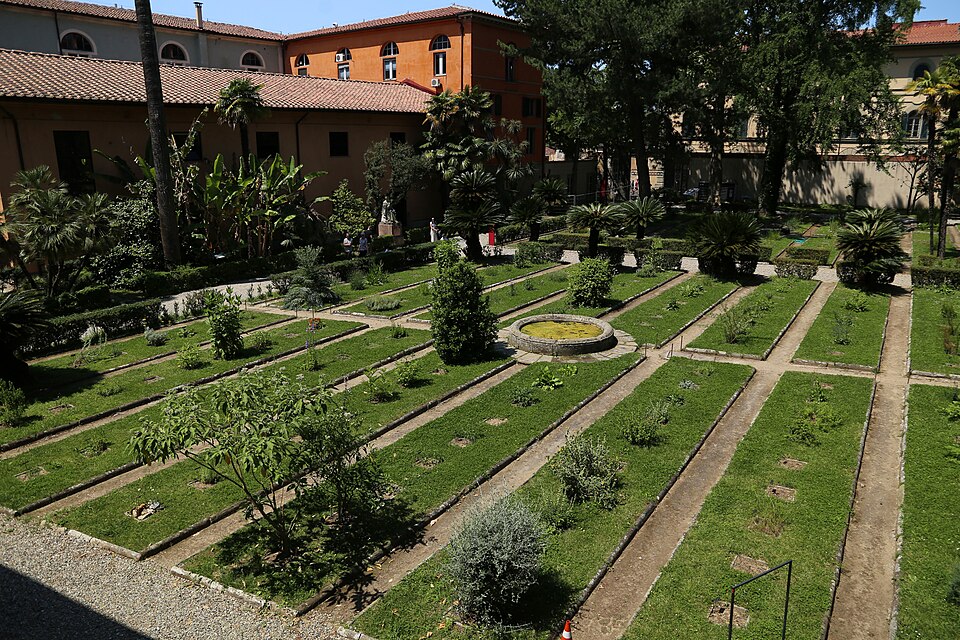 Pisa Botanic Garden and Museum（Italy）