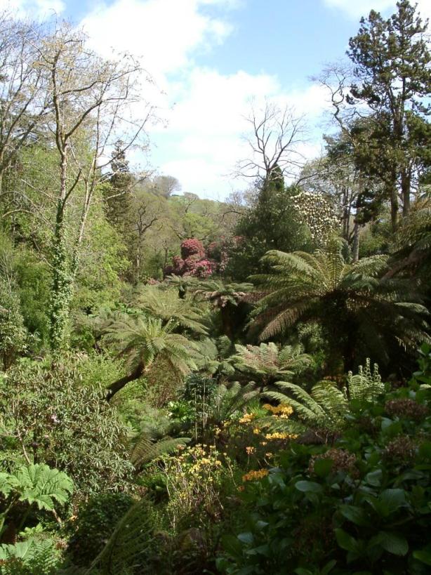 Lost Gardens of Heligan（United Kingdom）