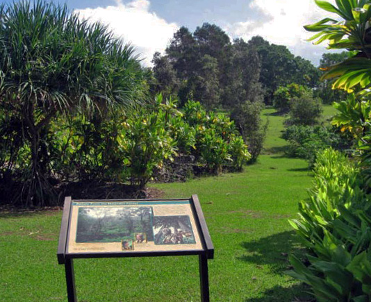 Amy B. H. Greenwell Ethnobotanical Garden（United States）