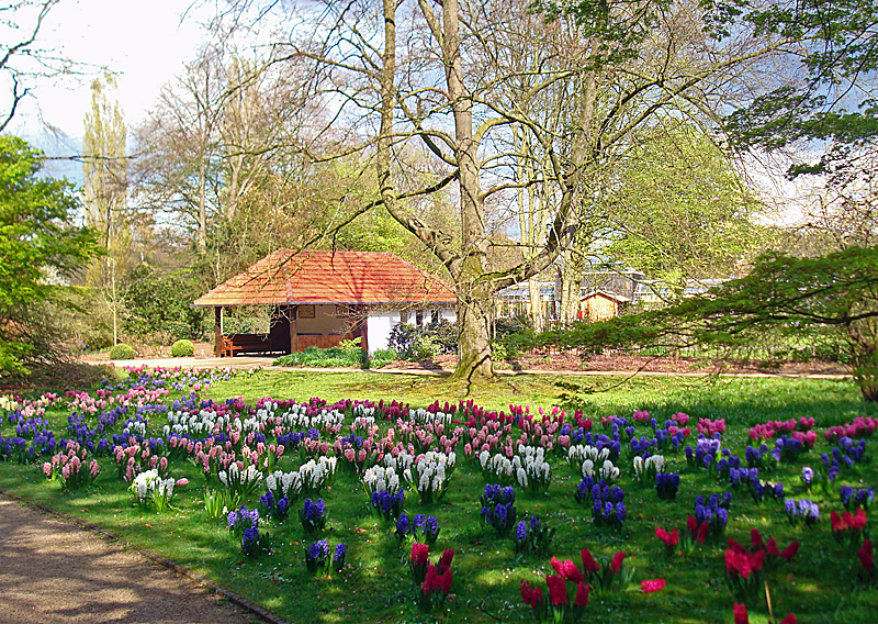 Stadtpark und Botanischer Garten Gütersloh（Germany）