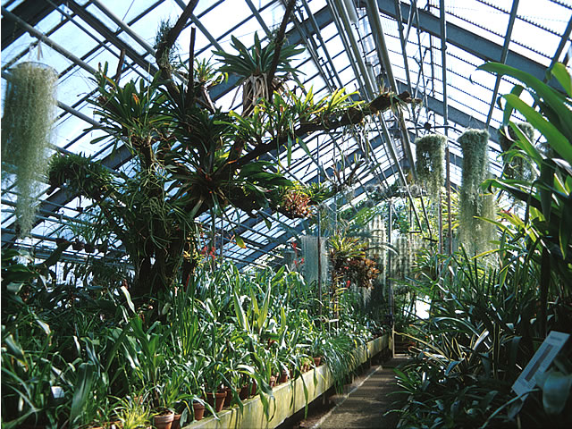 Botanischer Garten der Universität Heidelberg（Germany）