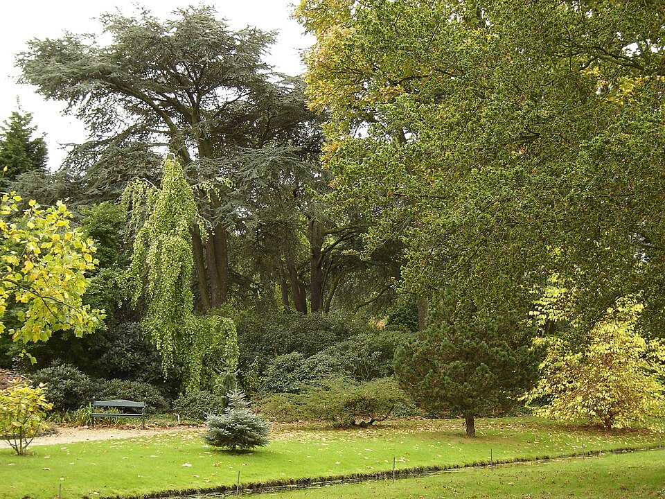 Arboretum Trompenburg（Netherlands）