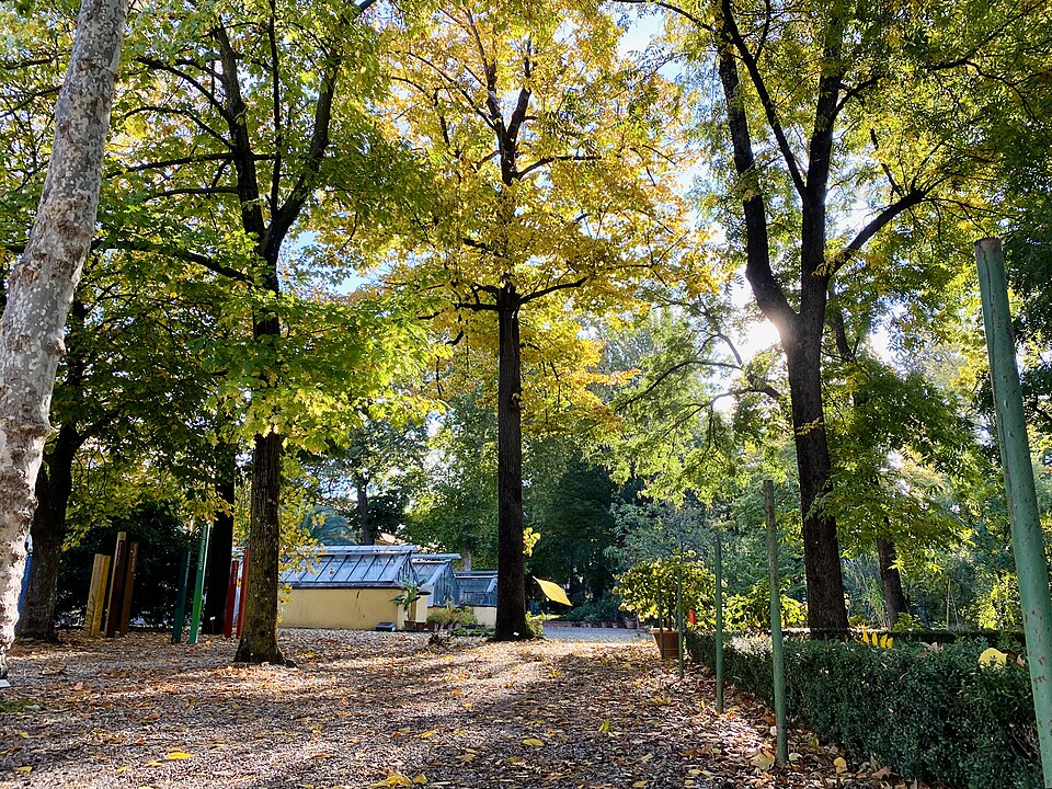 Botanical Garden of Florence（Italy）
