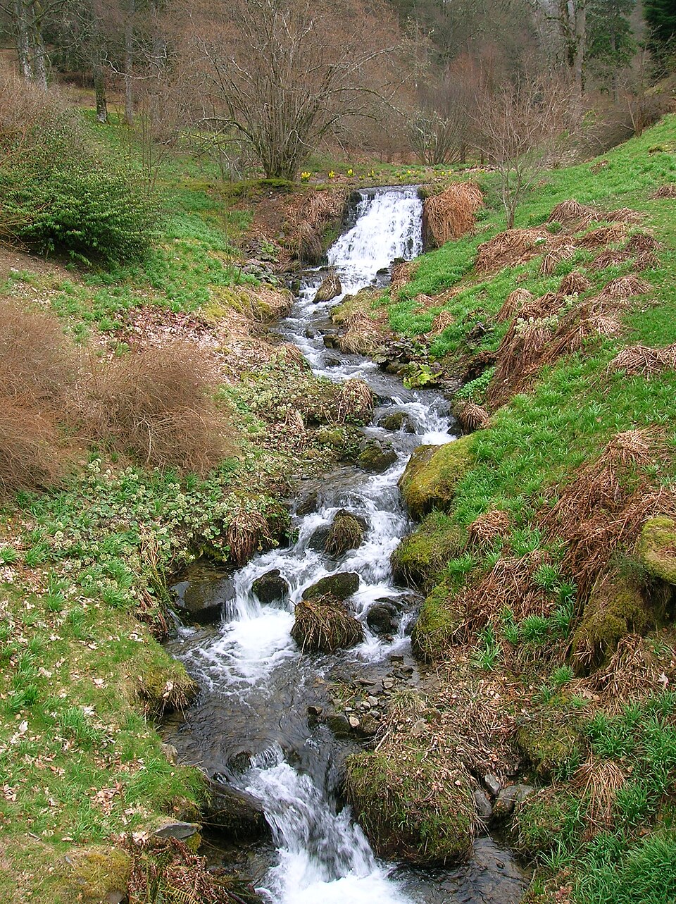 Dawyck Botanic Garden（United Kingdom）