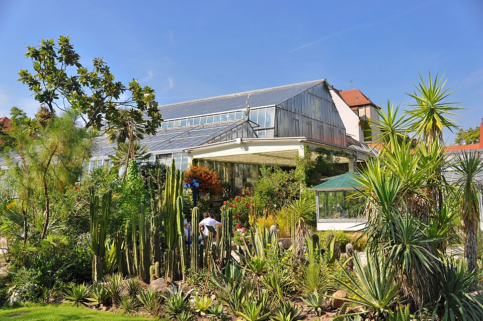 Botanischer Garten Erlangen（Germany）