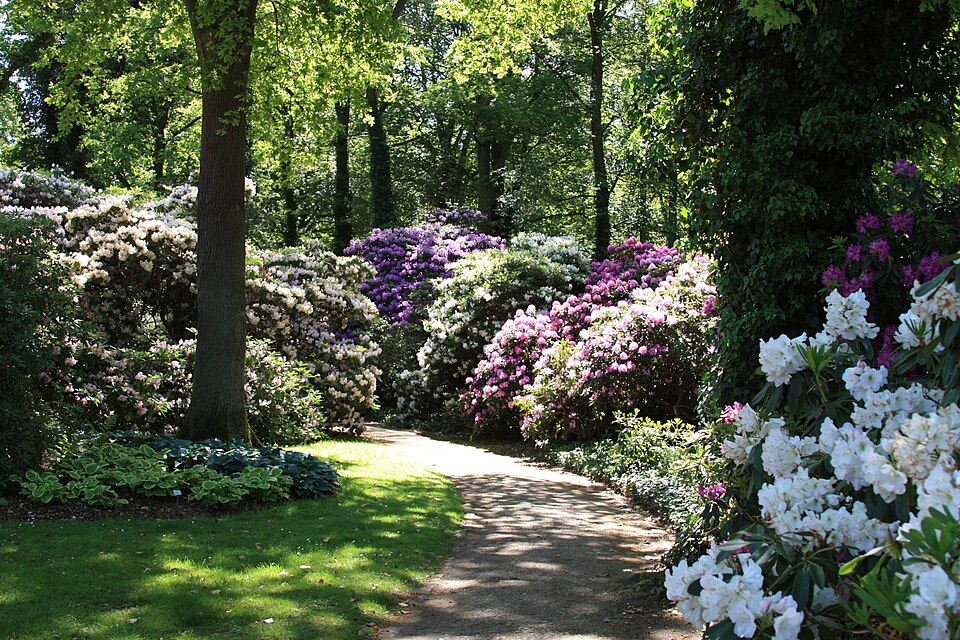 Rhododendron-Park Bremen（Germany）