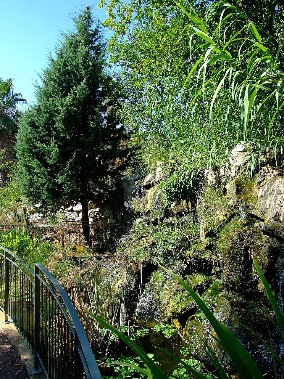 Jardin botanique de la Ville de Nice（France）