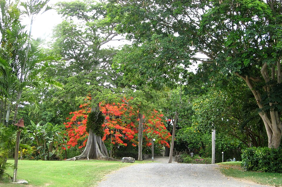 St. George Village Botanical Garden（United States）
