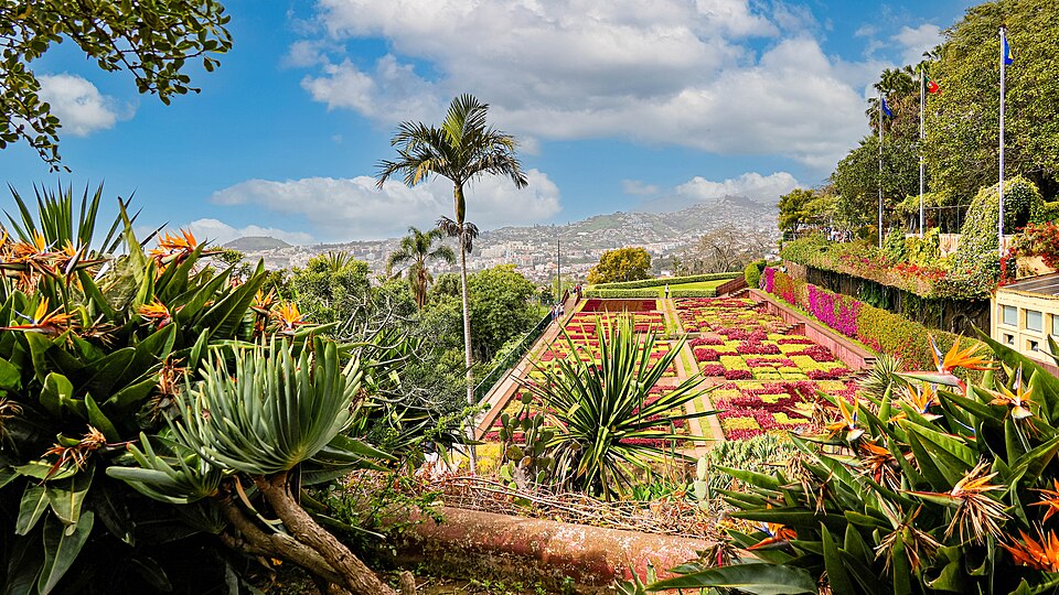 Madeira Botanical Garden（Portugal）