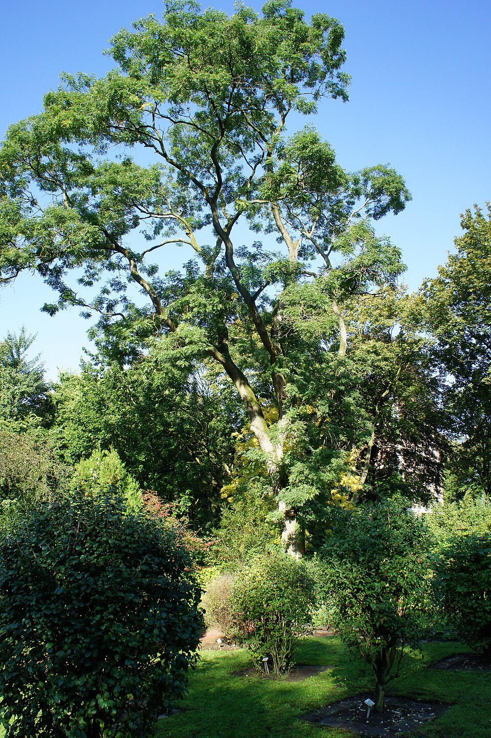 Duissern Botanical Garden（Germany）