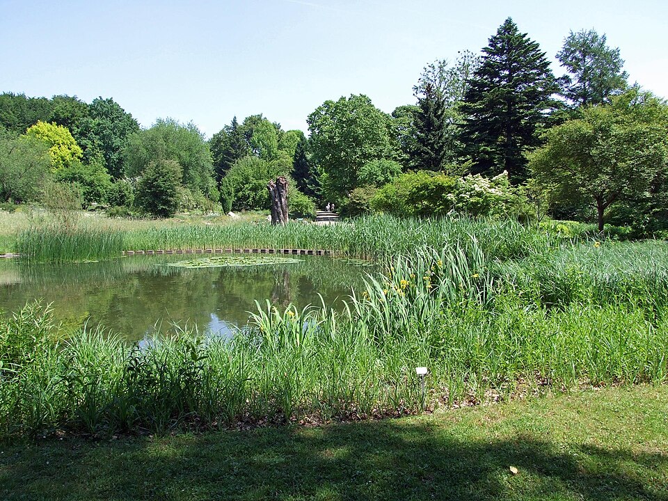 Botanischer Garten Frankfurt am Main（Germany）