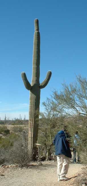 Arizona-Sonora Desert Museum（United States）