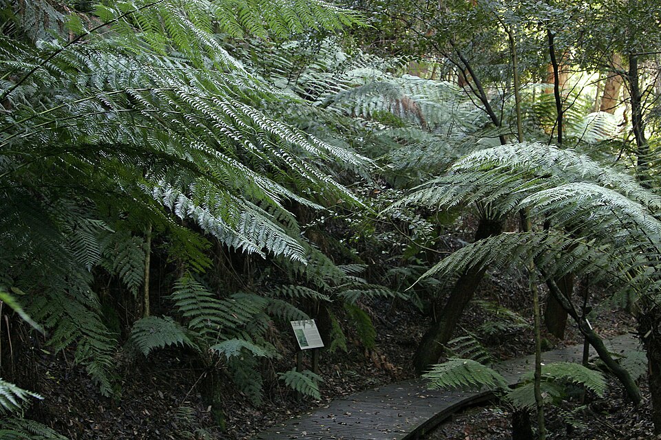 Australian National Botanic Gardens（Australia）