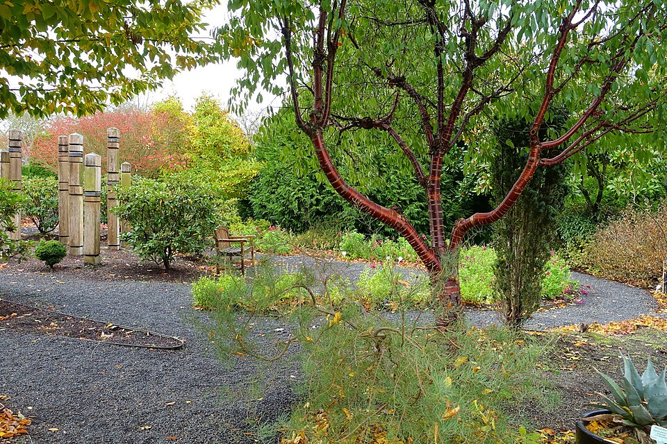 Oregon Garden（United States）