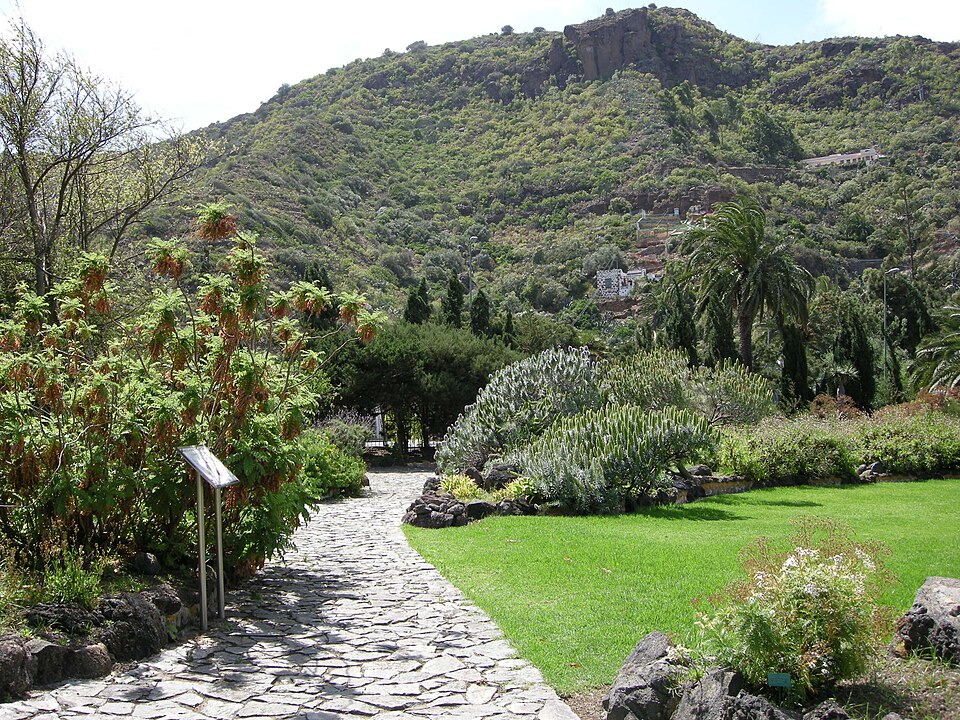 Jardín Botánico Canario Viera y Clavijo（Spain）
