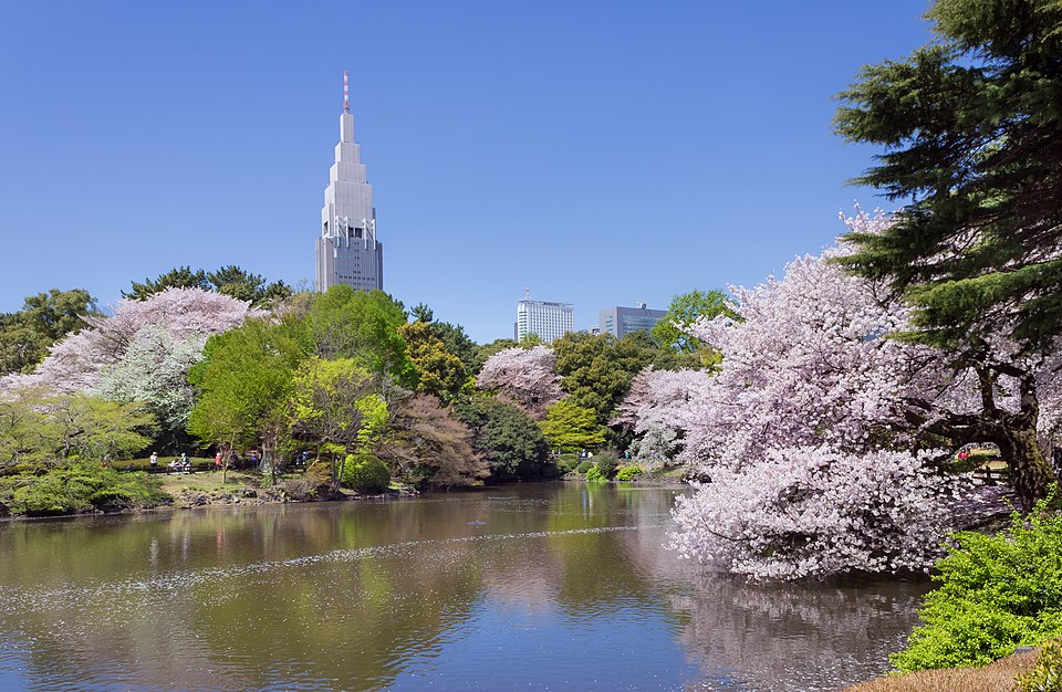Shinjuku Gyoen（Japan）