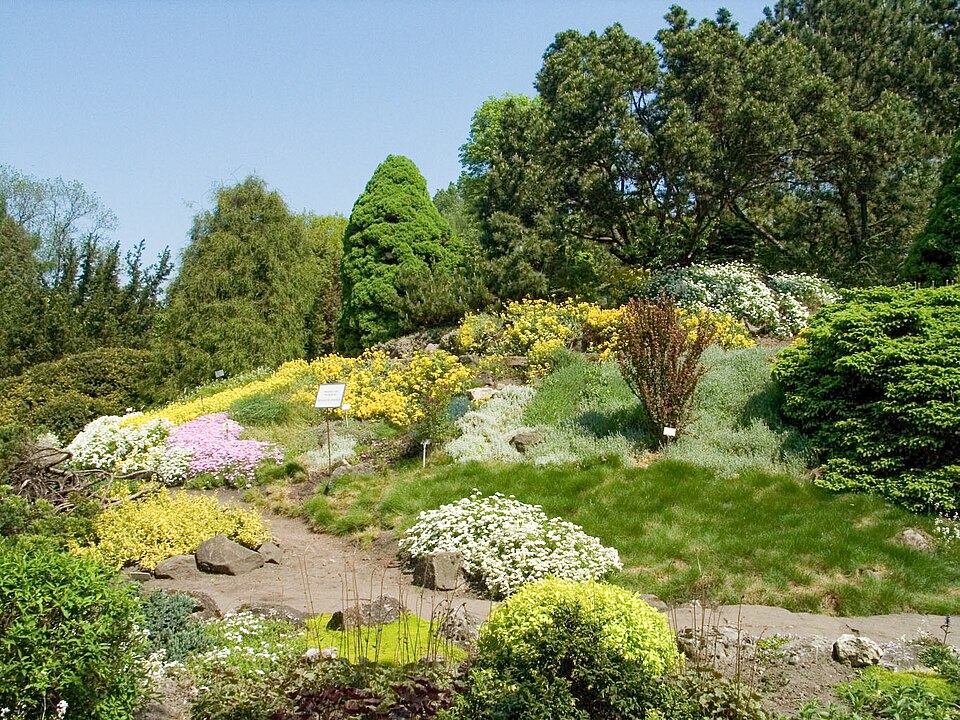 Botanic Garden of the Jagiellonian University（Poland）