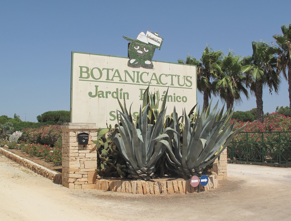 Botanicactus（Spain）