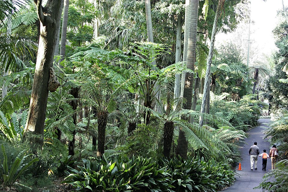 Royal Botanic Gardens Melbourne（Australia）