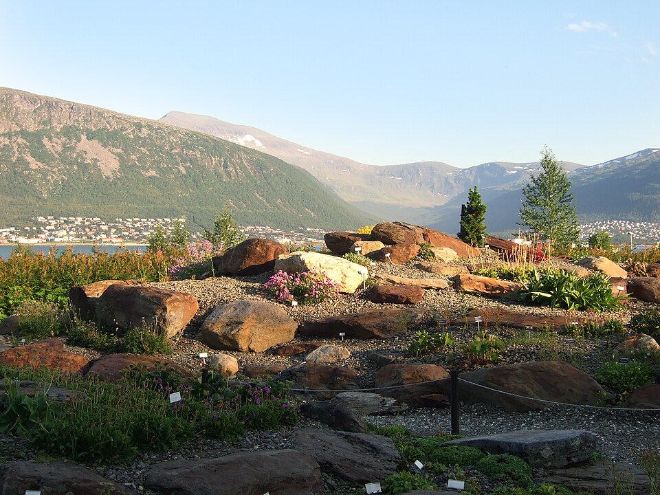 Arctic-alpine Botanic Garden（Norway）