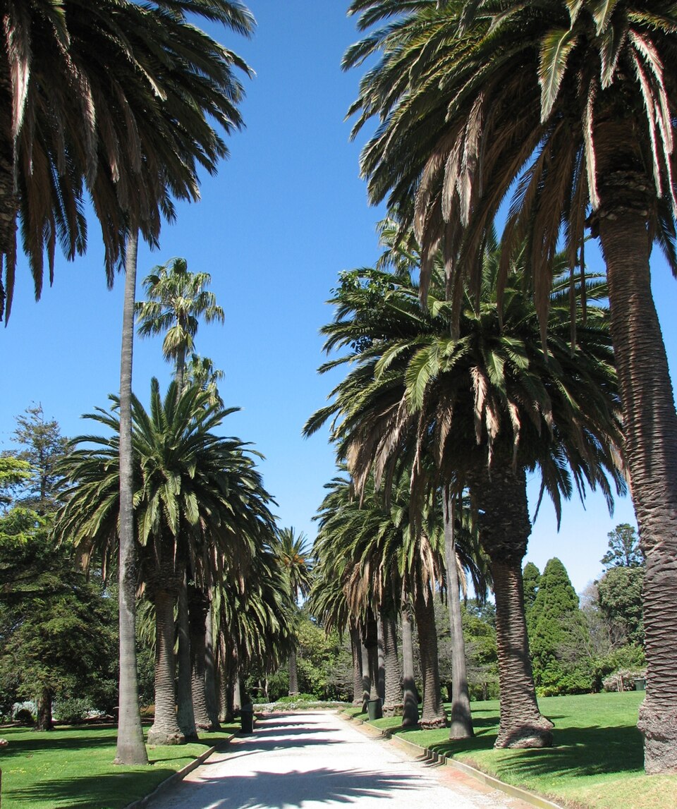 St Kilda Botanical Gardens（Australia）