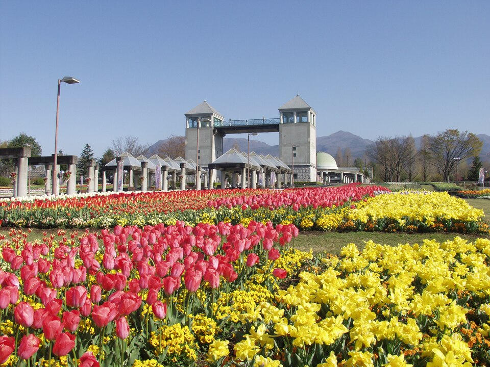 Gunma Flower Park（Japan）