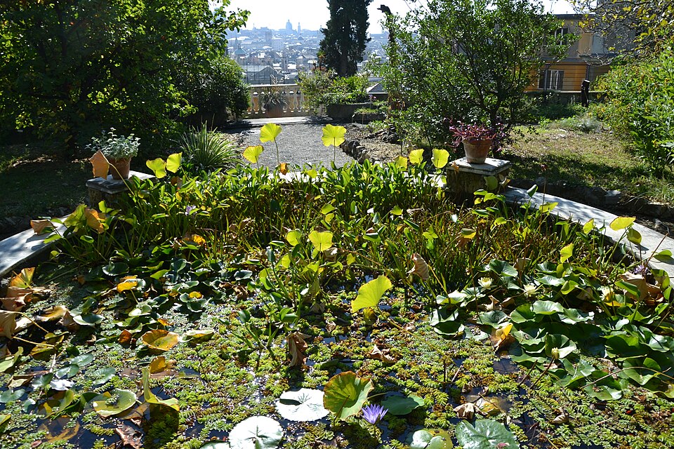University of Genoa Botanic Garden（Italy）
