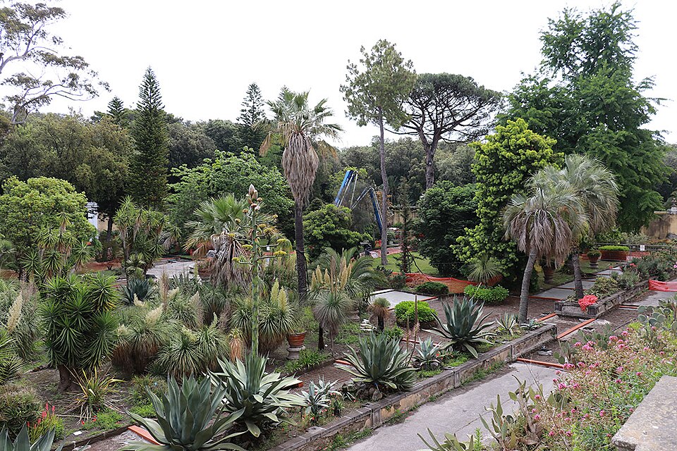 Orto Botanico di Portici（Italy）