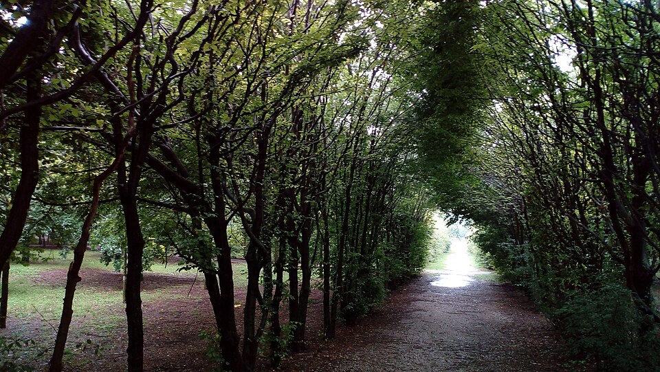 Parco Botanico Friulano "Cormor"（Italy）