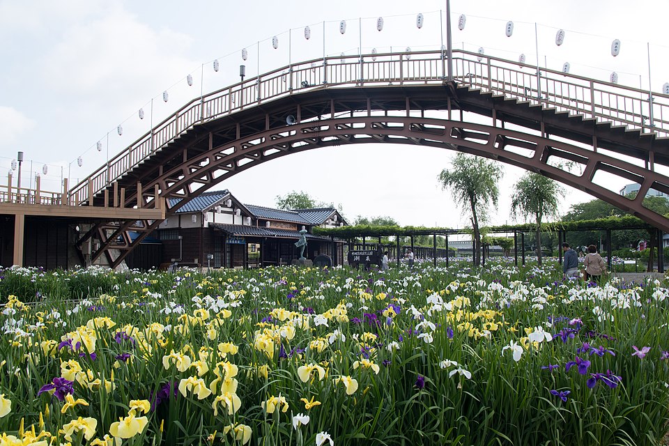 Suigō Itako Iris Garden（Japan）