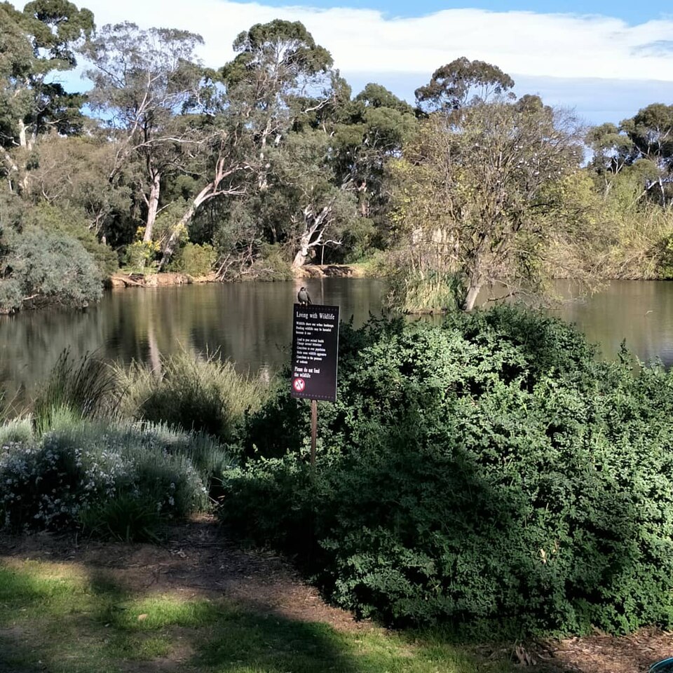 Wittunga Botanic Garden（Australia）