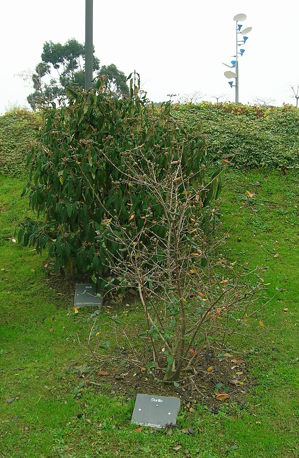 Botanical Garden of Barakaldo（Spain）