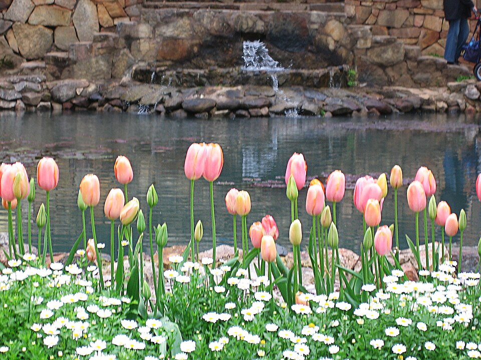 Araluen Botanic Park（Australia）
