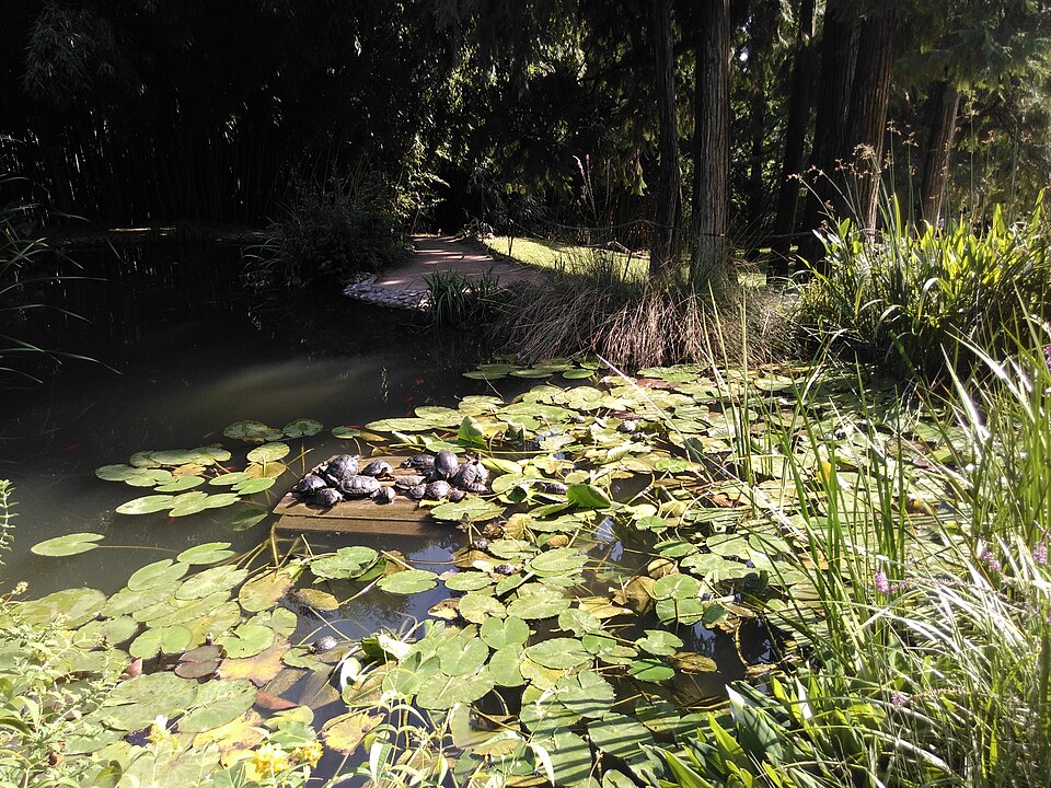 Arco Arboretum（Italy）