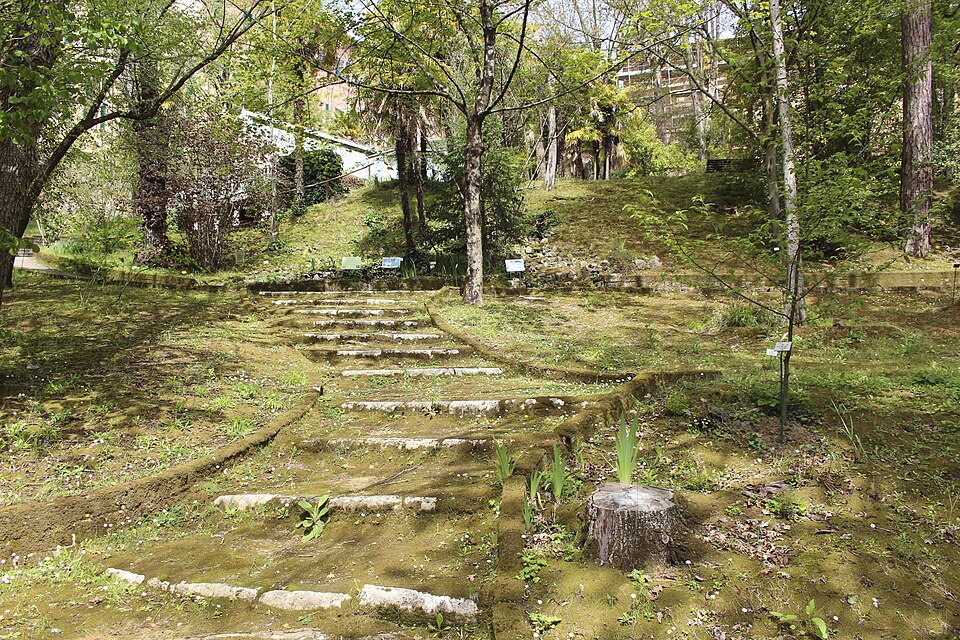 Orto Botanico dell'Università di Siena（Italy）