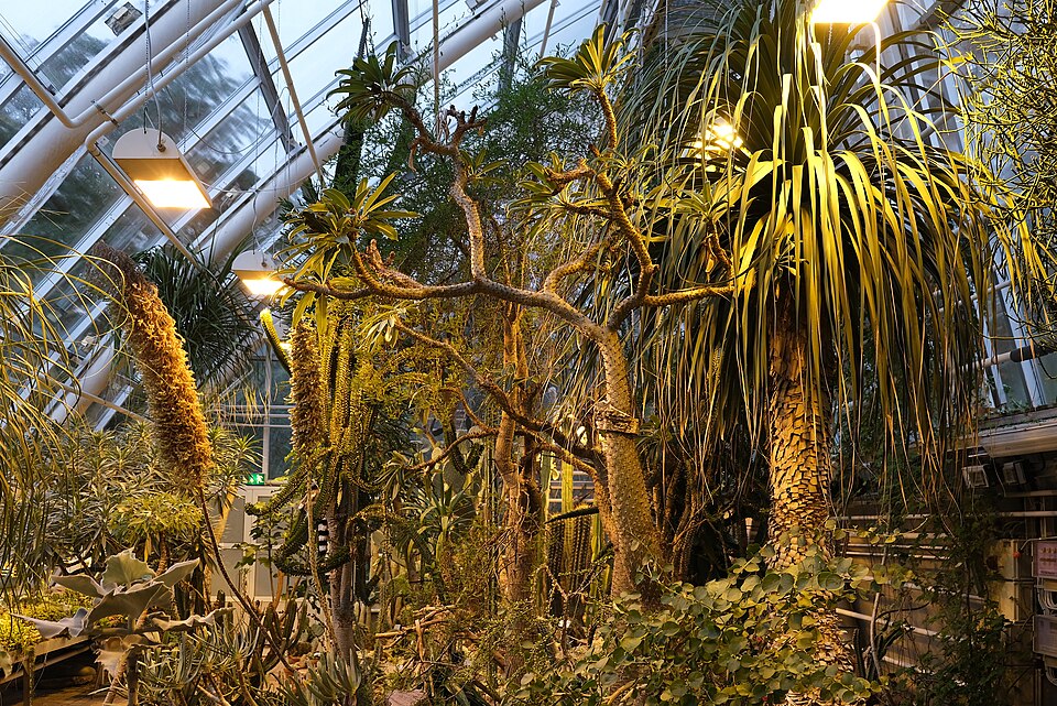 Botanical Garden of Turku University（Finland）