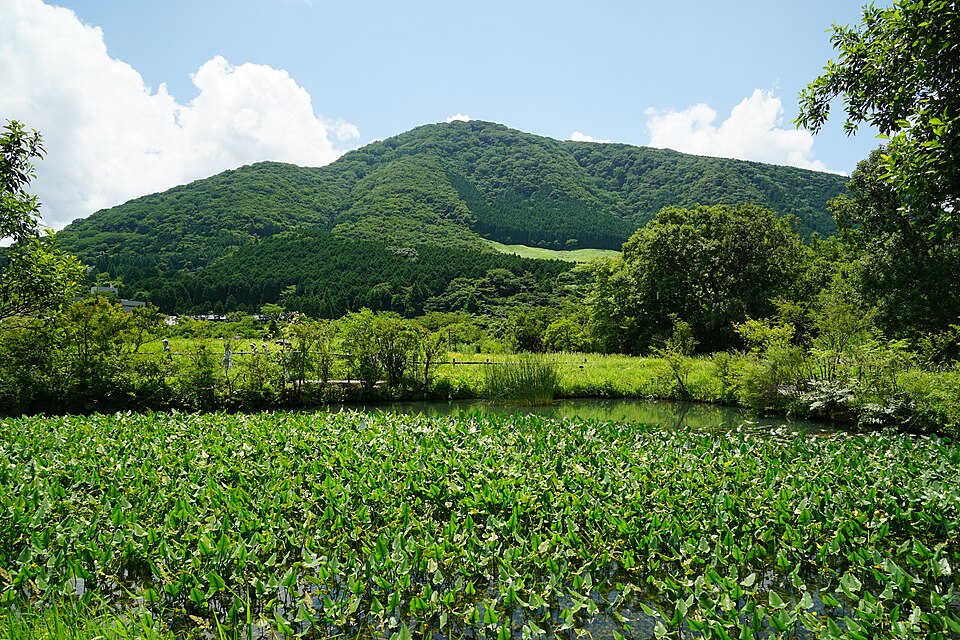 Hakone Botanical Garden of Wetlands（Japan）