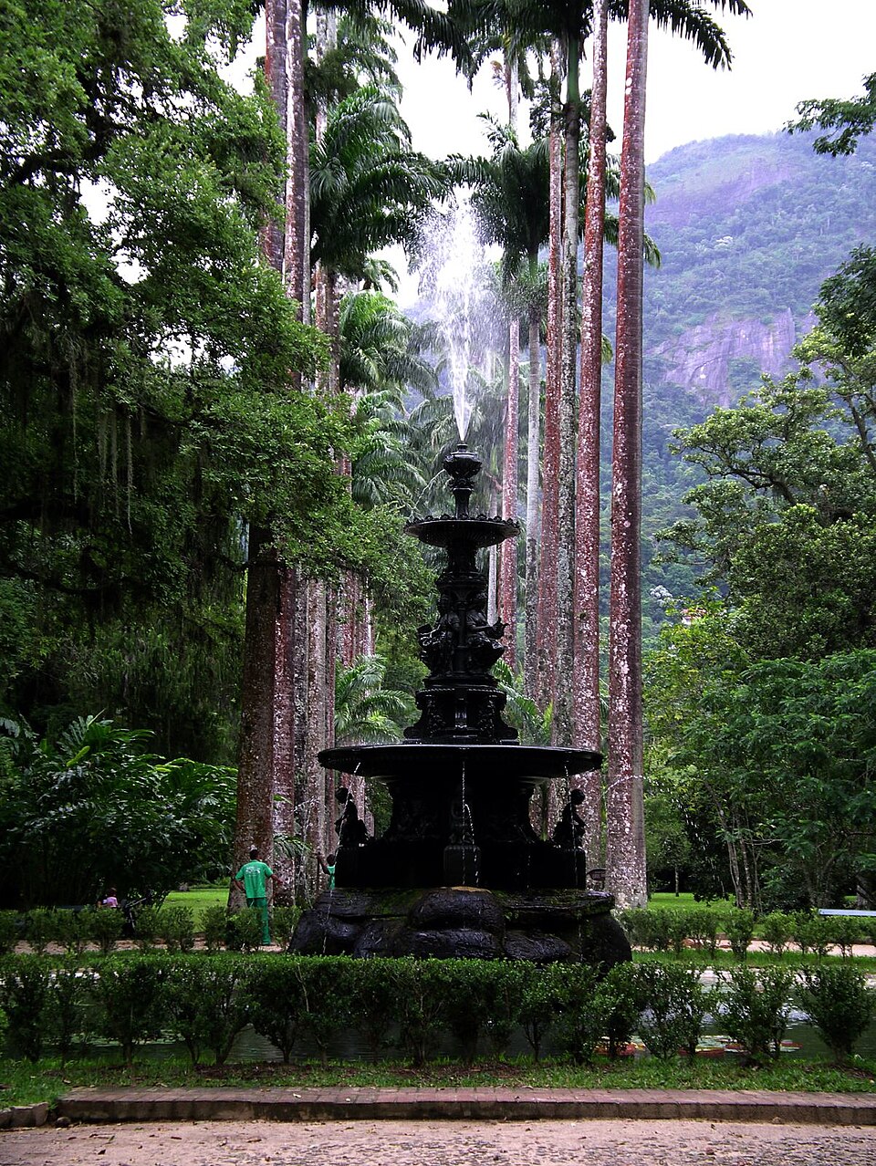 Rio de Janeiro Botanical Garden（Brazil）