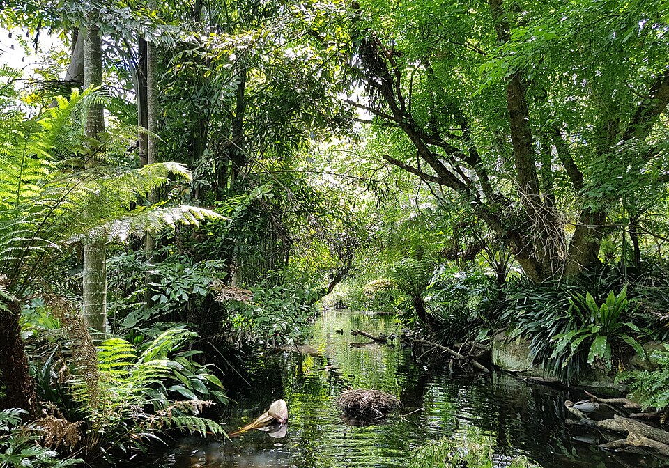 EG Waterhouse National Camellia Gardens（Australia）