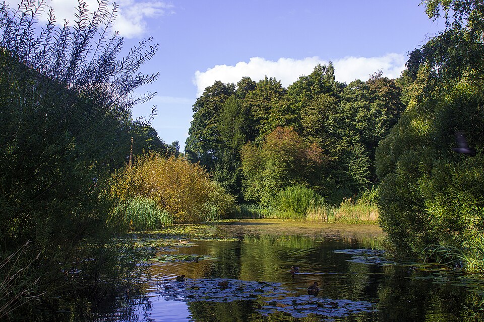 Park of Saint Petersburg State Forestry Academy（Russia）
