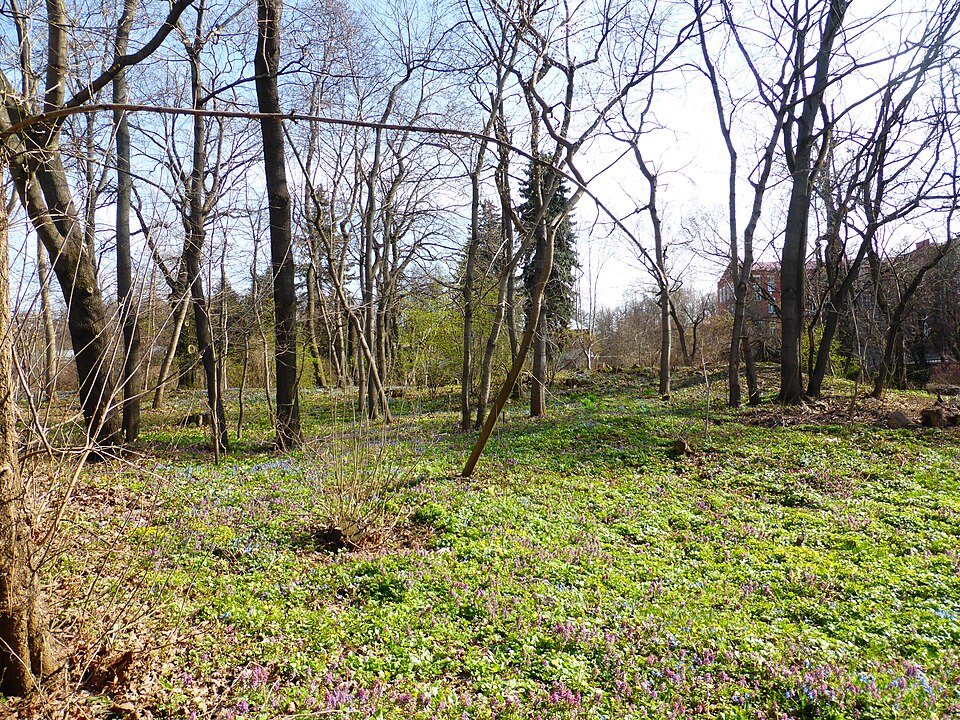 Botanical Garden named after Rostovtsev（Russia）