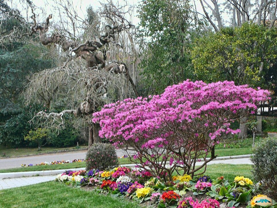Botanical Garden of Lourizán（Spain）