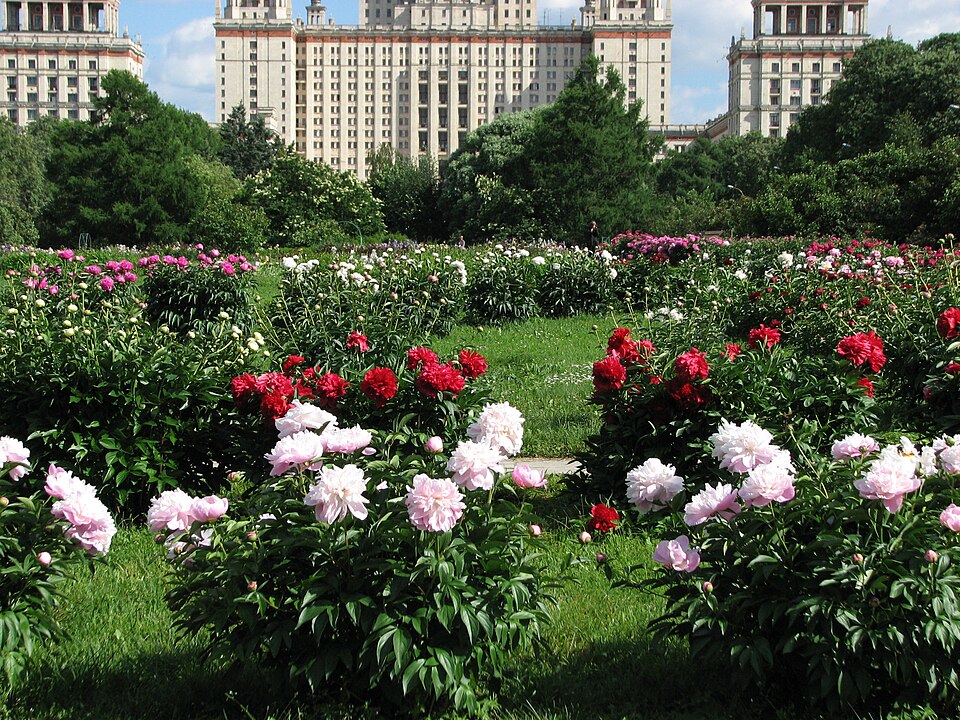 Botanical Garden of Moscow State University（Russia）