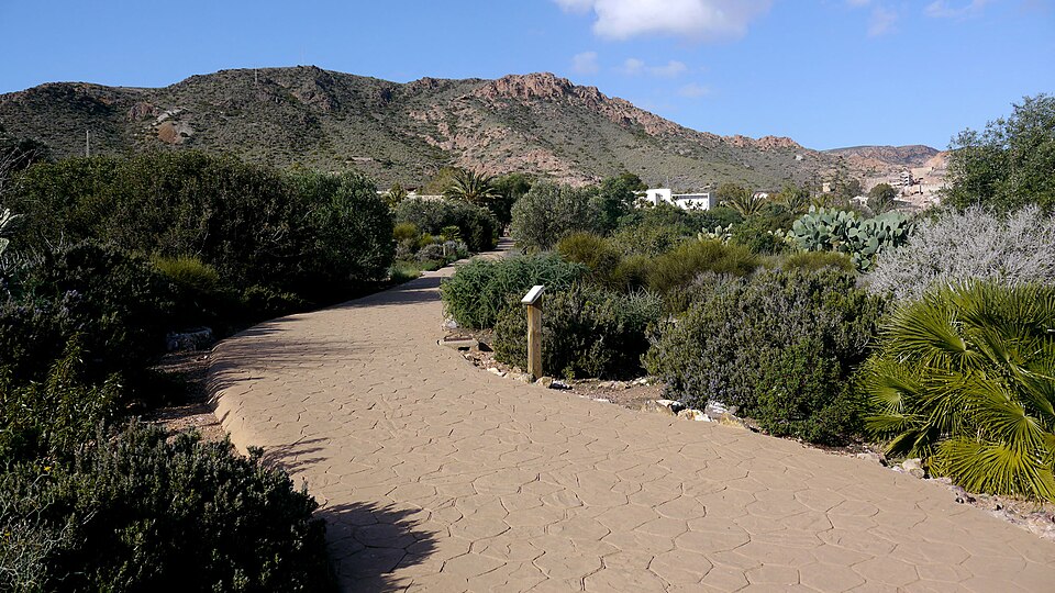 Jardín Botánico del Albardinal（Spain）