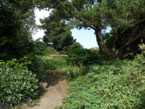 Cruickshank Botanic Garden（United Kingdom）