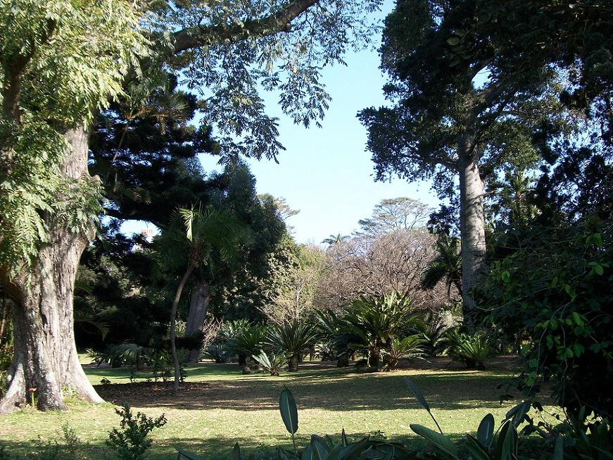 Durban Botanic Gardens（South Africa）